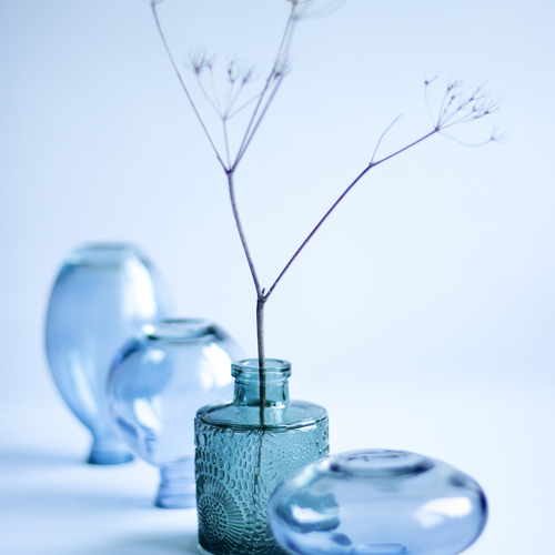 Photo #14235684