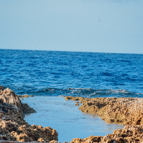 Photo #14235872