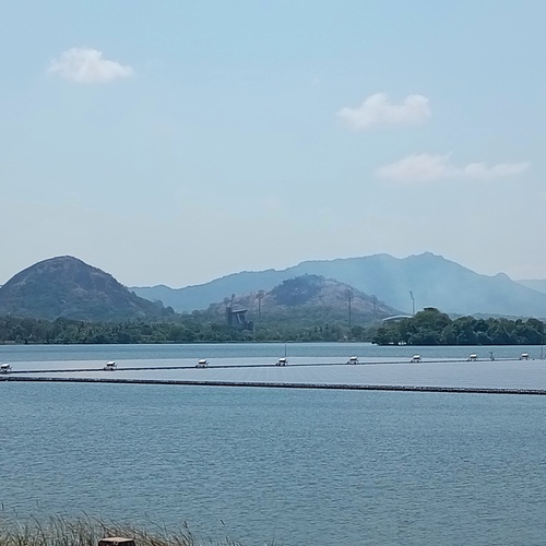 Photo #14236330
