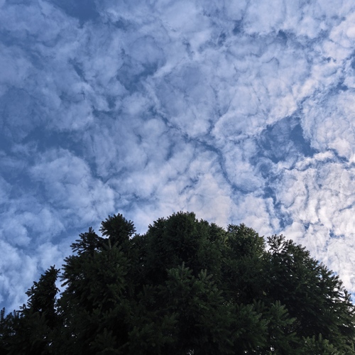 Photo #14236626