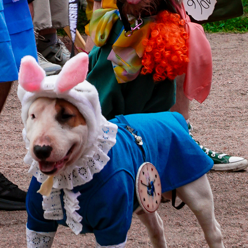 Photo #14236690