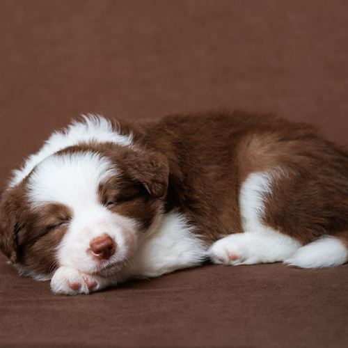 Photo #14236719