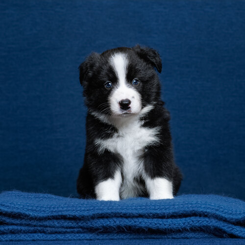 Photo #14237079