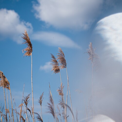Photo #14238099