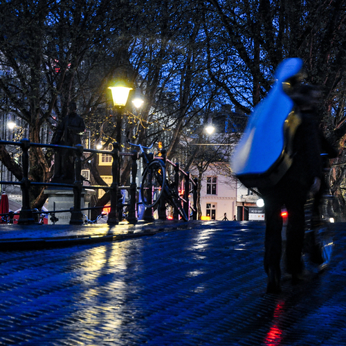 Photo #14238146