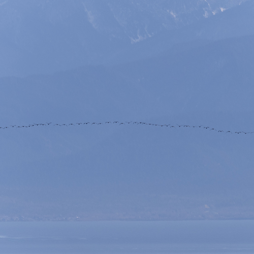 Photo #14238703