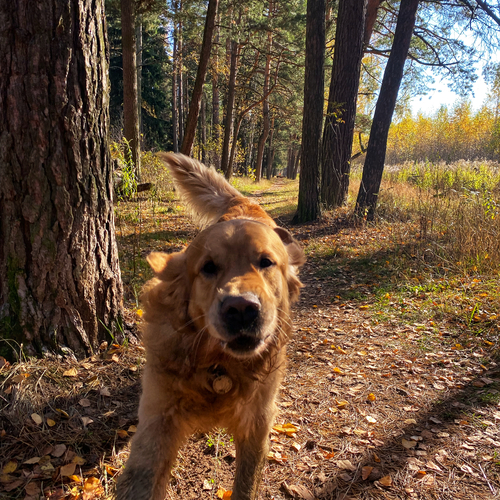 Photo #14239026