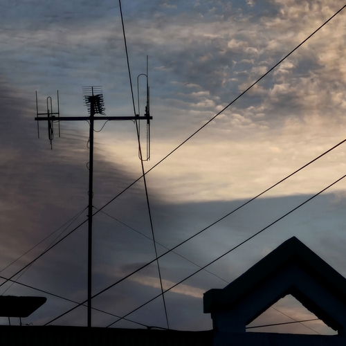 Photo #14239297