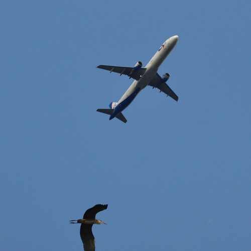 Photo #14239427