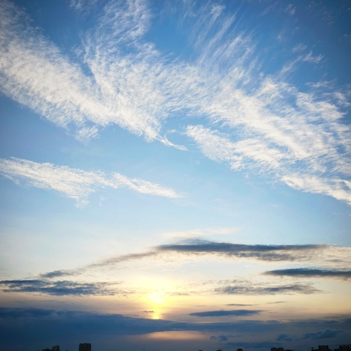 Photo #14239442