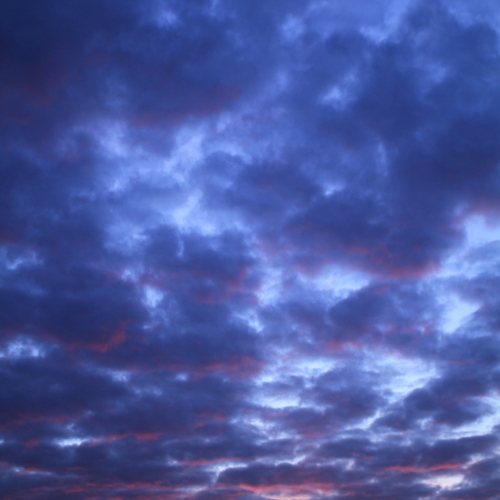 Photo #14239774