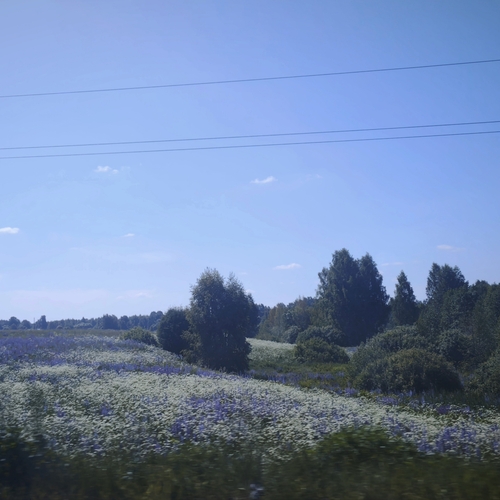 Photo #14240350