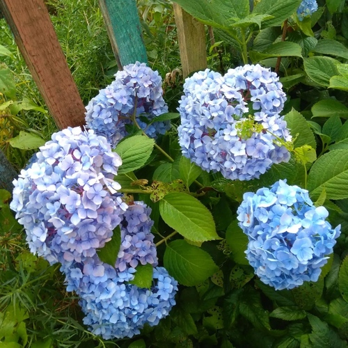 Photo #14240444
