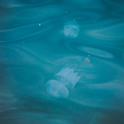 Drifting in Blue