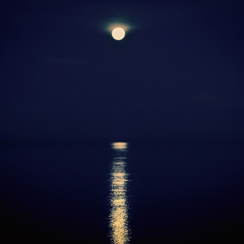 Moonlight Reflections