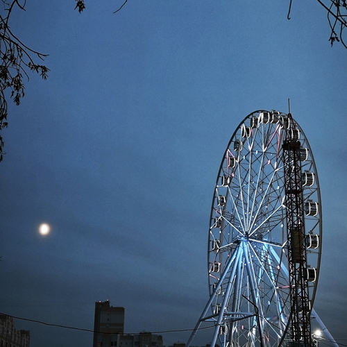 Photo #14241615
