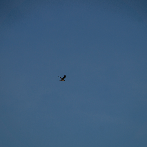 Photo #14241637