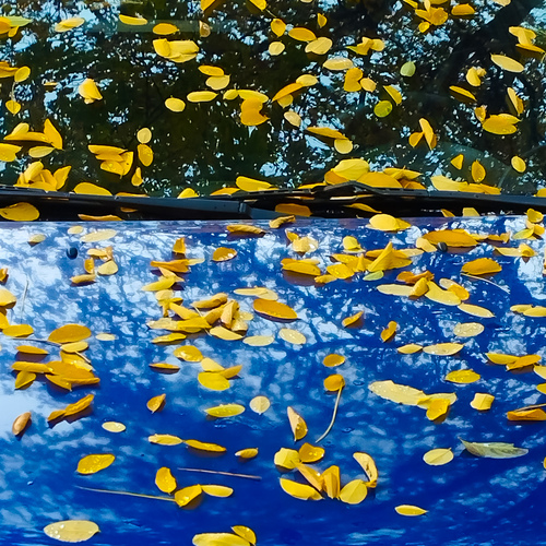 Photo #14241763