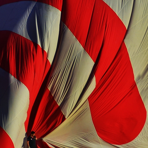 Photo #14242312