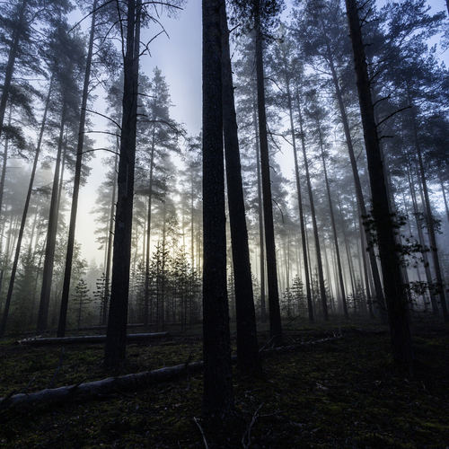Photo #14242550