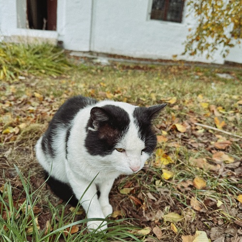 Photo #14243042