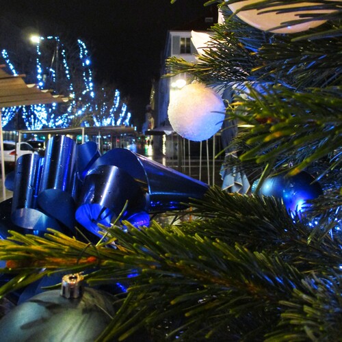 Photo #14243049