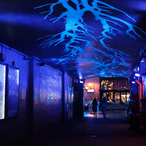 Photo #14243074