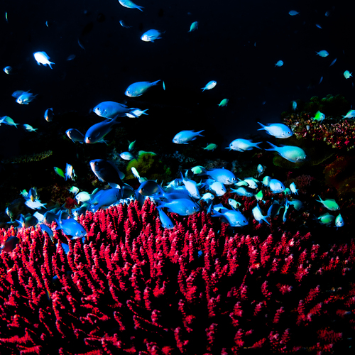Photo #14243449