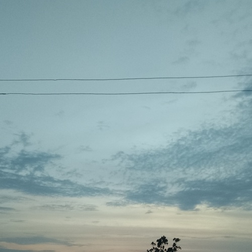 Photo #14243535