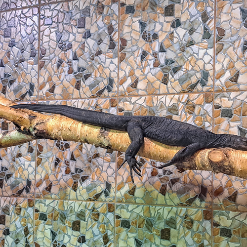 Photo #14243775