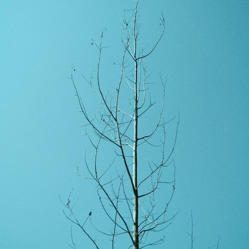 Photo #14243815