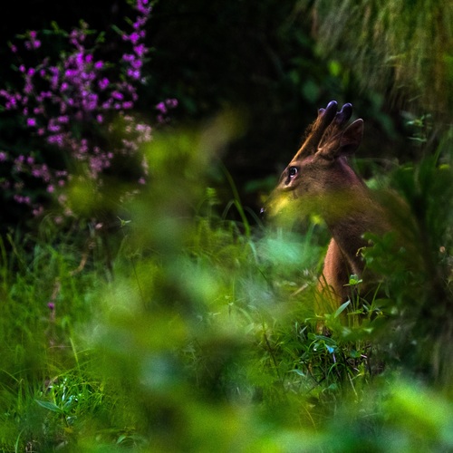 Photo #14243984