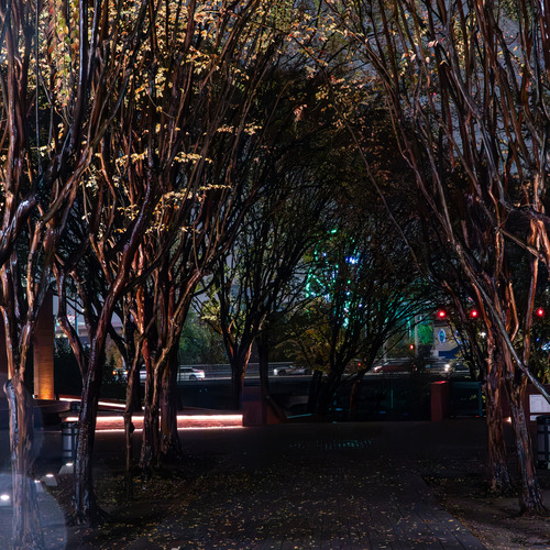 Photo #14244029