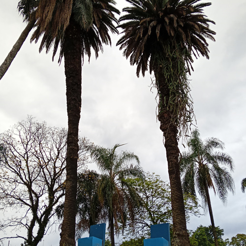 Photo #14244261