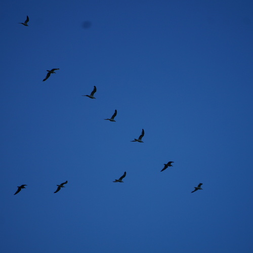 Photo #14244459
