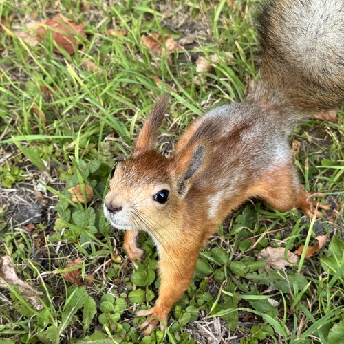 Photo #14244529