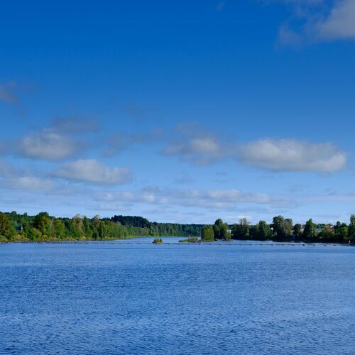 Photo #14244661