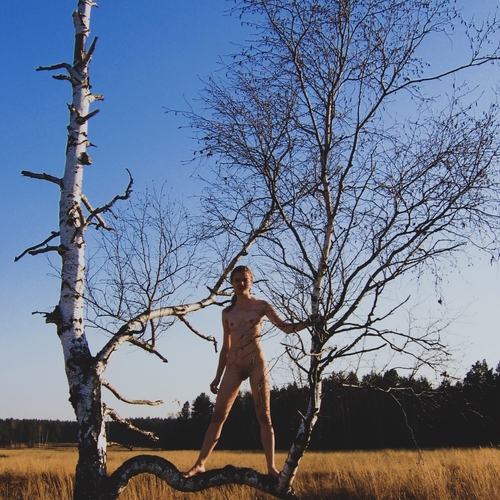 Photo #14244970