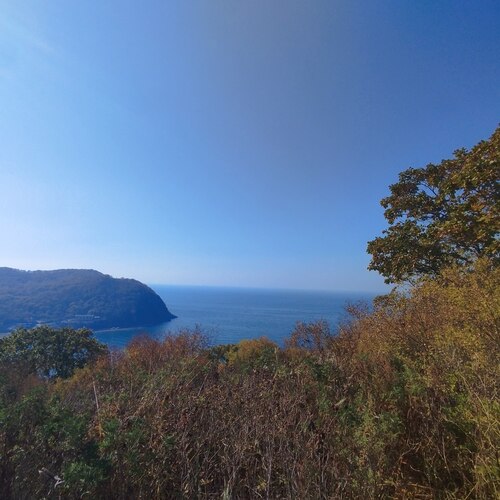 Photo #14244998
