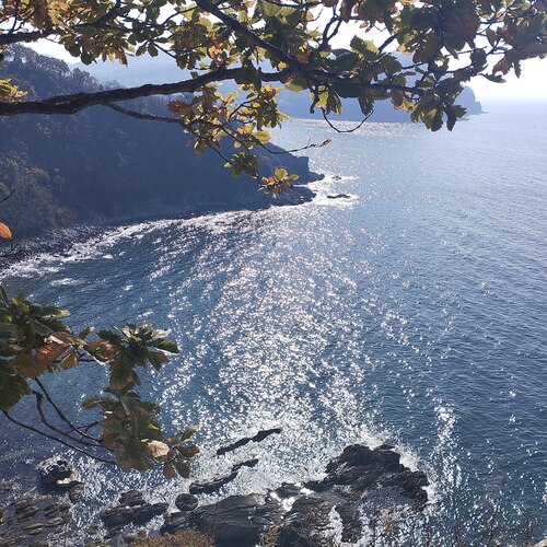 Photo #14245000