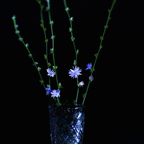 Photo #14245165
