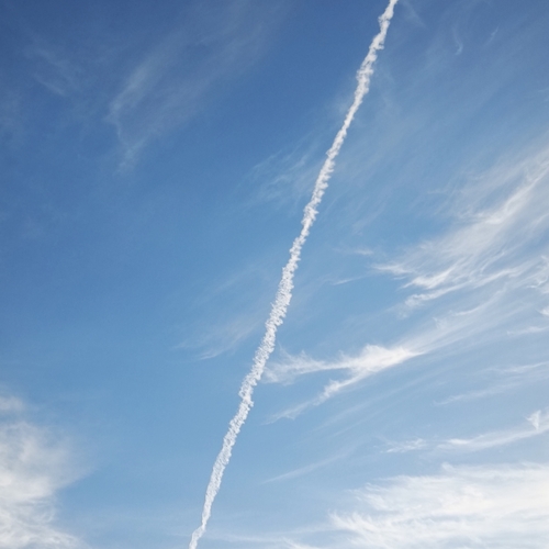 Photo #14245288