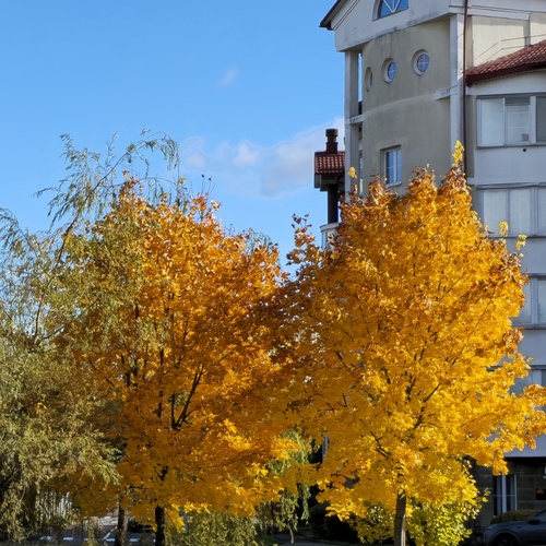 Photo #14245353
