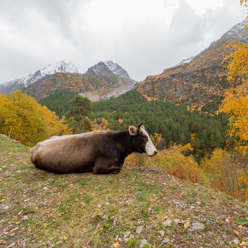 Photo #14245379