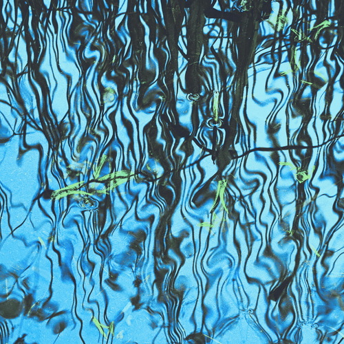 Photo #14245435