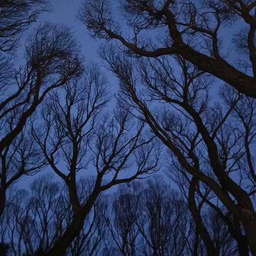 Photo #14245476
