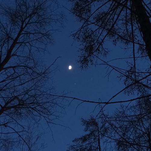 Photo #14245507