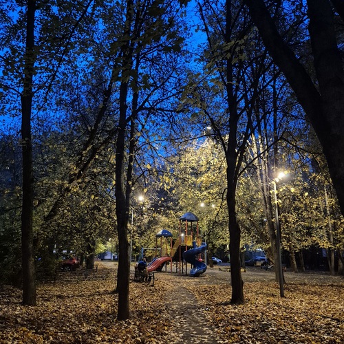 Photo #14245547