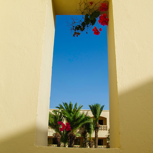 Photo #14246121