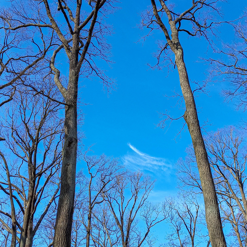 Photo #14246413